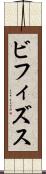 ビフィズス Scroll