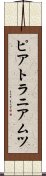 ピアトラニアムツ Scroll
