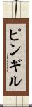 ピンギル Scroll