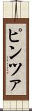 ピンツァ Scroll