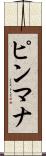 ピンマナ Scroll