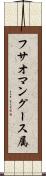 フサオマングース属 Scroll