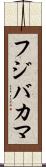 フジバカマ Scroll