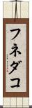 フネダコ Scroll