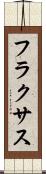 フラクサス Scroll