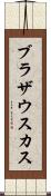 ブラザウスカス Scroll