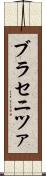 ブラセニツァ Scroll