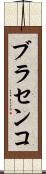 ブラセンコ Scroll