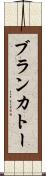ブランカトー Scroll