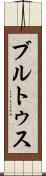 ブルトゥス Scroll