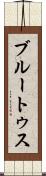 ブルートゥス Scroll
