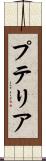 プテリア Scroll