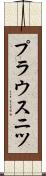 プラウスニツ Scroll