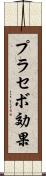 プラセボ効果 Scroll
