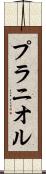 プラニオル Scroll