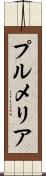 プルメリア Scroll