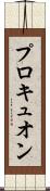 プロキュオン Scroll