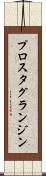 プロスタグランジン Scroll