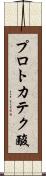プロトカテク酸 Scroll