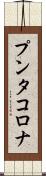 プンタ・コロナ Scroll