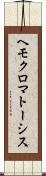 ヘモクロマトーシス Scroll