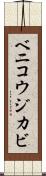 ベニコウジカビ Scroll
