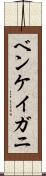 ベンケイガニ Scroll