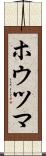 ホウツマ Scroll