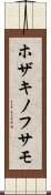 ホザキノフサモ Scroll