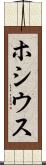 ホシウス Scroll