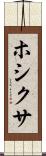 ホシクサ Scroll