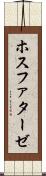 ホスファターゼ Scroll