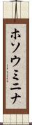 ホソウミニナ Scroll
