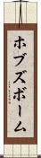 ホブズボーム Scroll