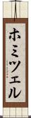 ホミツェル Scroll