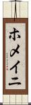 ホメイニ Scroll