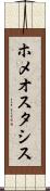 ホメオスタシス Scroll