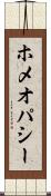 ホメオパシー Scroll