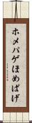 ホメパゲ Scroll