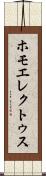 ホモ・エレクトゥス Scroll