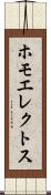 ホモエレクトス Scroll