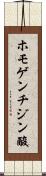 ホモゲンチジン酸 Scroll