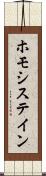 ホモシステイン Scroll