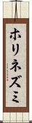 ホリネズミ Scroll