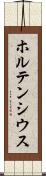 ホルテンシウス Scroll