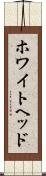 ホワイトヘッド Scroll