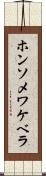 ホンソメワケベラ Scroll