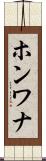 ホンワナ Scroll