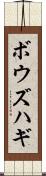 ボウズハギ Scroll