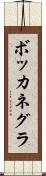 ボッカネグラ Scroll